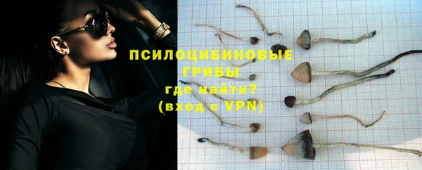 мескалин Бородино