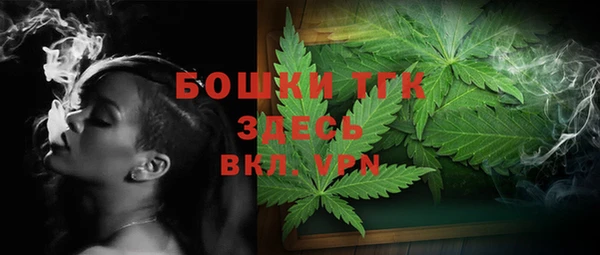 шишки Беломорск