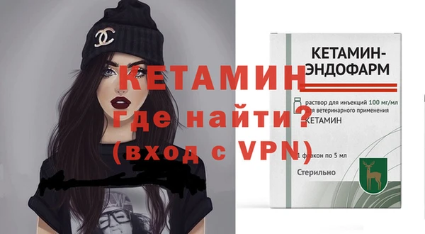 шишки Беломорск