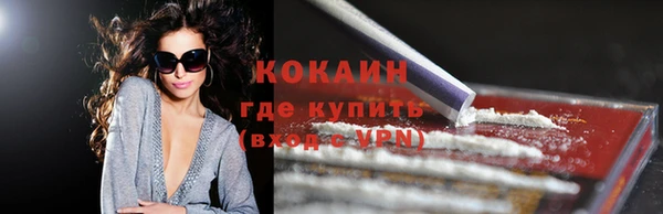 шишки Беломорск