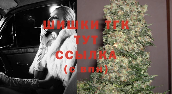 шишки Беломорск