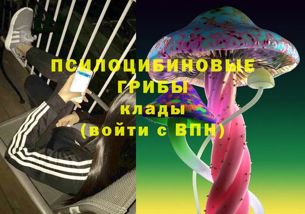 шишки Беломорск